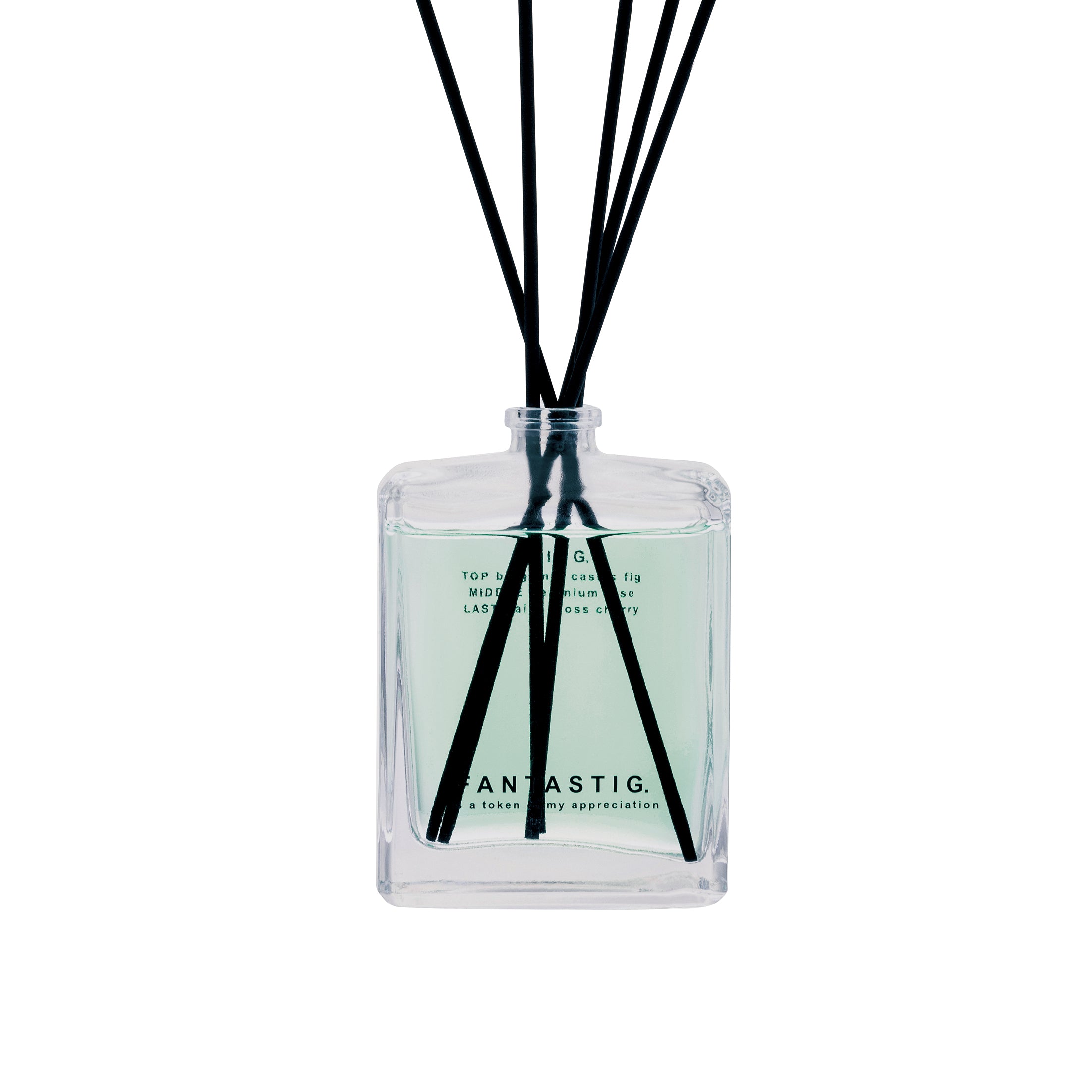 FANTASTIG. Reed Diffuser BEING.